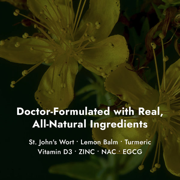 Z-Calm Ingredients on st. john's wort flower background